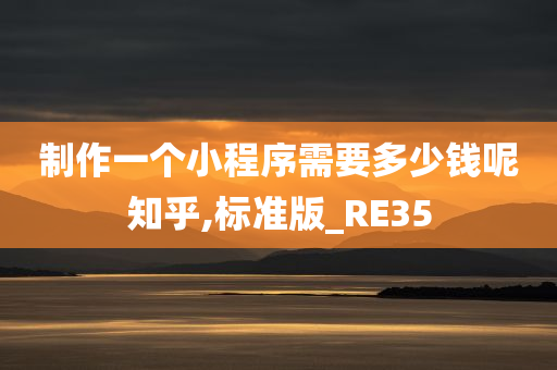 制作一个小程序需要多少钱呢知乎,标准版_RE35