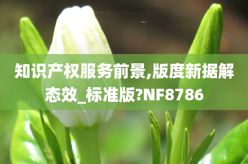 知识产权服务前景,版度新据解态效_标准版?NF8786