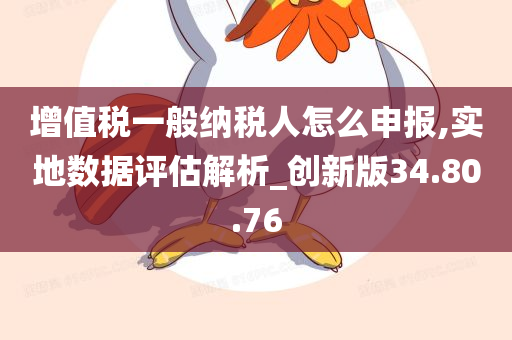 增值税一般纳税人怎么申报,实地数据评估解析_创新版34.80.76