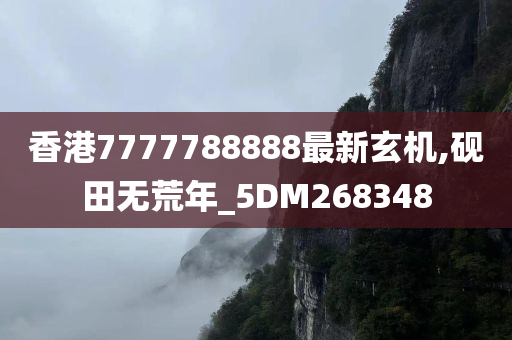 香港7777788888最新玄机,砚田无荒年_5DM268348