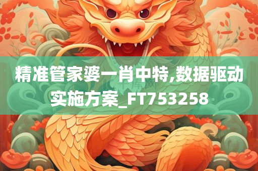 精准管家婆一肖中特,数据驱动实施方案_FT753258