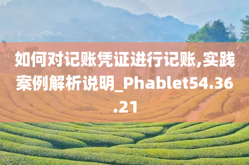 如何对记账凭证进行记账,实践案例解析说明_Phablet54.36.21