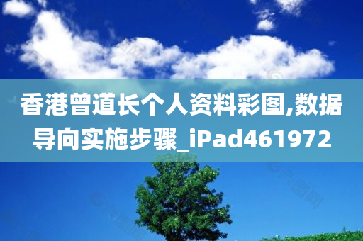 香港曾道长个人资料彩图,数据导向实施步骤_iPad461972