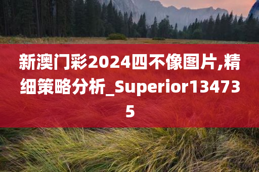 新澳门彩2024四不像图片,精细策略分析_Superior134735