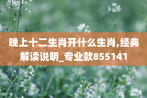 晚上十二生肖开什么生肖,经典解读说明_专业款855141