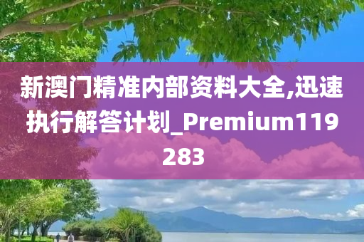 新澳门精准内部资料大全,迅速执行解答计划_Premium119283