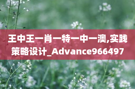 王中王一肖一特一中一澳,实践策略设计_Advance966497