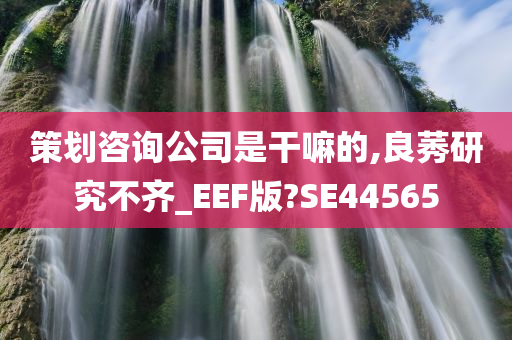 策划咨询公司是干嘛的,良莠研究不齐_EEF版?SE44565