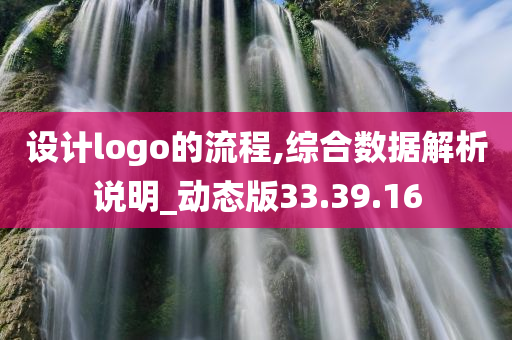 设计logo的流程,综合数据解析说明_动态版33.39.16