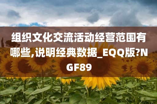 组织文化交流活动经营范围有哪些,说明经典数据_EQQ版?NGF89