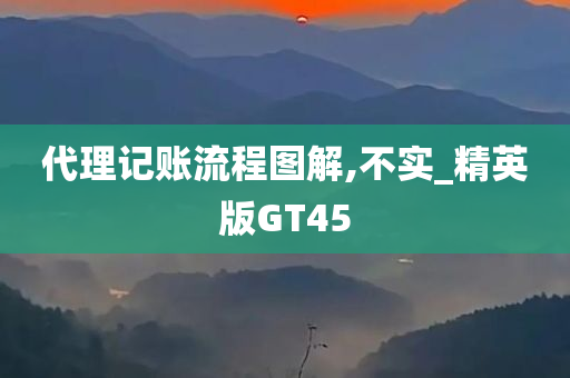 代理记账流程图解,不实_精英版GT45