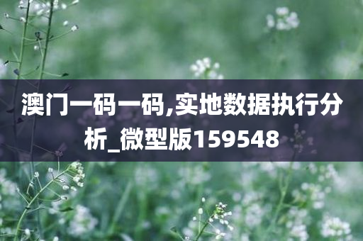 澳门一码一码,实地数据执行分析_微型版159548