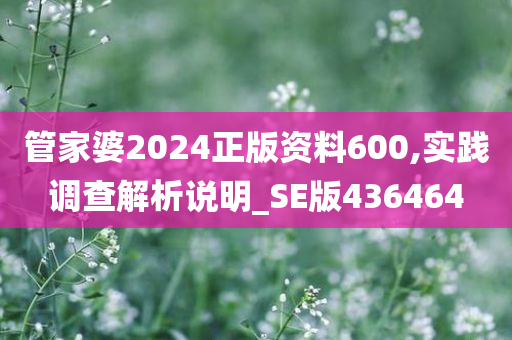 管家婆2024正版资料600,实践调查解析说明_SE版436464