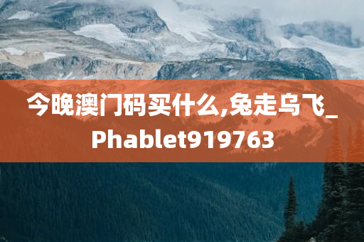 今晚澳门码买什么,兔走乌飞_Phablet919763