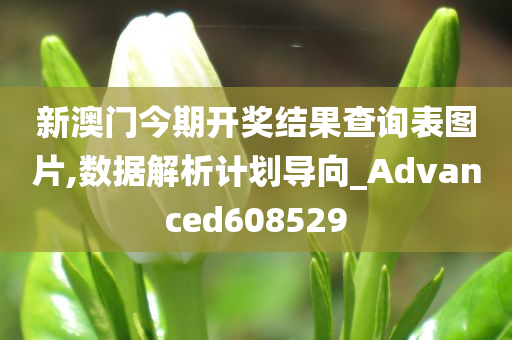 新澳门今期开奖结果查询表图片,数据解析计划导向_Advanced608529