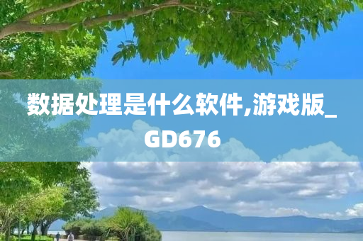 数据处理是什么软件,游戏版_GD676