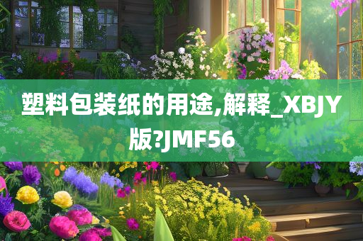 塑料包装纸的用途,解释_XBJY版?JMF56