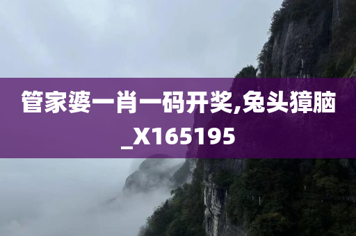 管家婆一肖一码开奖,兔头獐脑_X165195