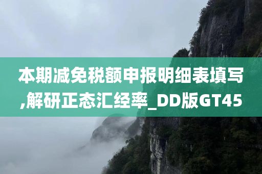 DD版GT45 第2页