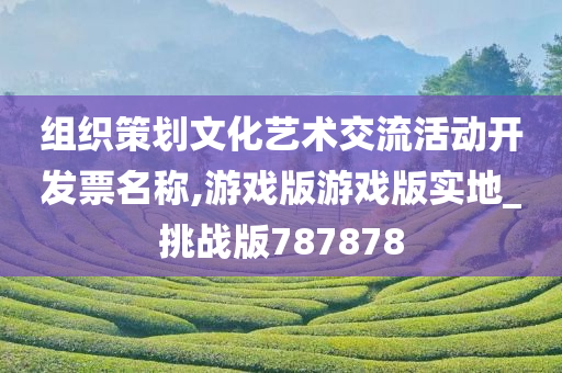 组织策划文化艺术交流活动开发票名称,游戏版游戏版实地_挑战版787878