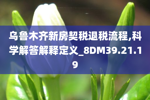 乌鲁木齐新房契税退税流程,科学解答解释定义_8DM39.21.19