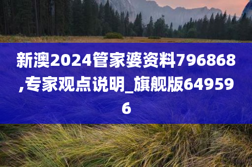 新澳2024管家婆资料796868,专家观点说明_旗舰版649596