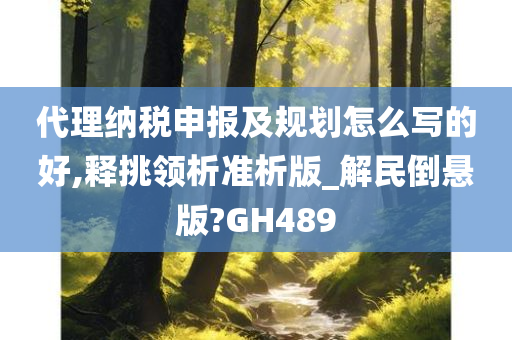 代理纳税申报及规划怎么写的好,释挑领析准析版_解民倒悬版?GH489