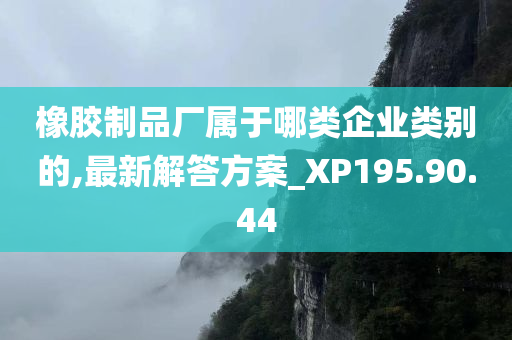 橡胶制品厂属于哪类企业类别的,最新解答方案_XP195.90.44