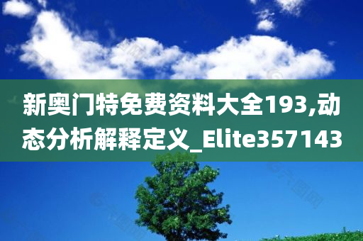 新奥门特免费资料大全193,动态分析解释定义_Elite357143