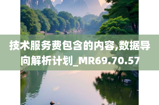 技术服务费包含的内容,数据导向解析计划_MR69.70.57