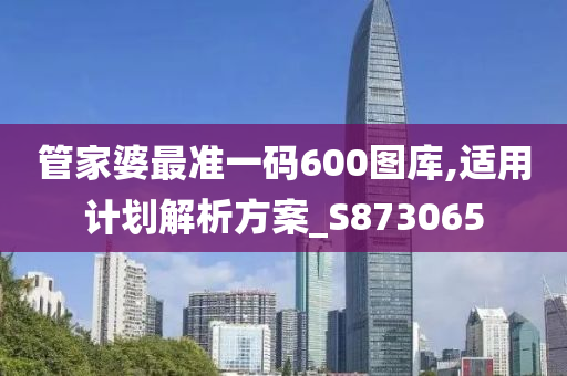 管家婆最准一码600图库,适用计划解析方案_S873065