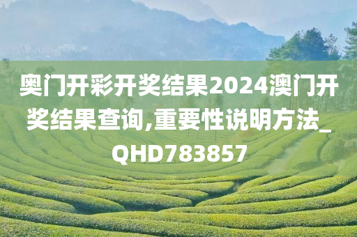 奥门开彩开奖结果2024澳门开奖结果查询,重要性说明方法_QHD783857