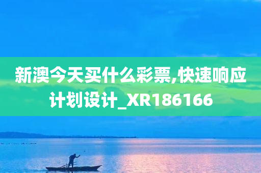 新澳今天买什么彩票,快速响应计划设计_XR186166