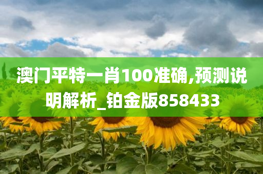 澳门平特一肖100准确,预测说明解析_铂金版858433