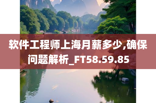 软件工程师上海月薪多少,确保问题解析_FT58.59.85