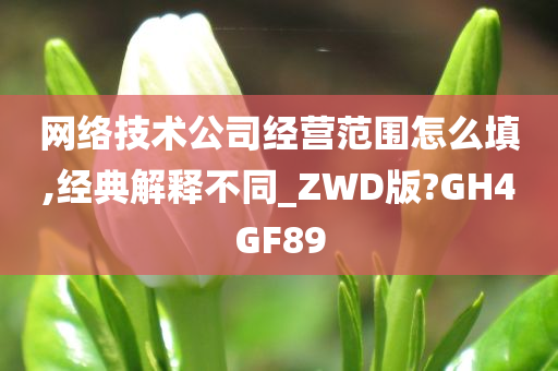 网络技术公司经营范围怎么填,经典解释不同_ZWD版?GH4GF89