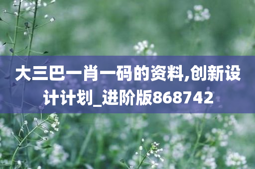 大三巴一肖一码的资料,创新设计计划_进阶版868742