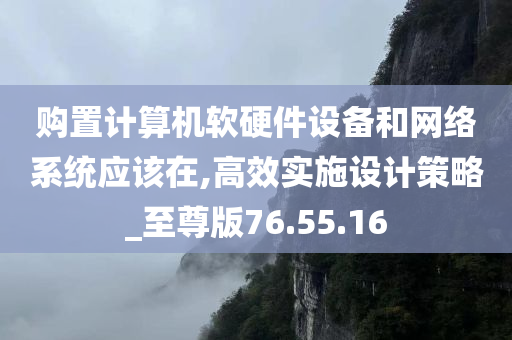 购置计算机软硬件设备和网络系统应该在,高效实施设计策略_至尊版76.55.16