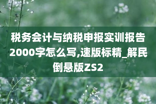 税务会计与纳税申报实训报告2000字怎么写,速版标精_解民倒悬版ZS2