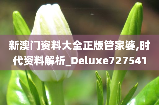 新澳门资料大全正版管家婆,时代资料解析_Deluxe727541