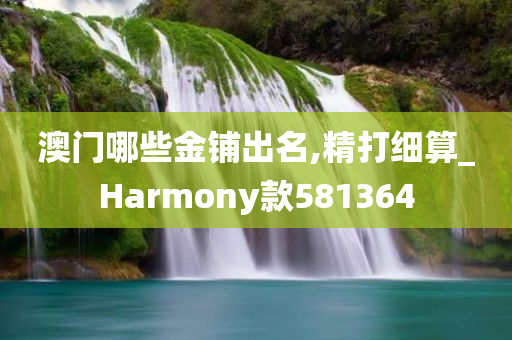 澳门哪些金铺出名,精打细算_Harmony款581364