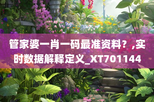 管家婆一肖一码最准资料？,实时数据解释定义_XT701144