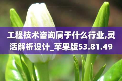 工程技术咨询属于什么行业,灵活解析设计_苹果版53.81.49