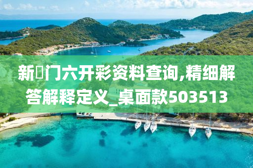 新澚门六开彩资料查询,精细解答解释定义_桌面款503513