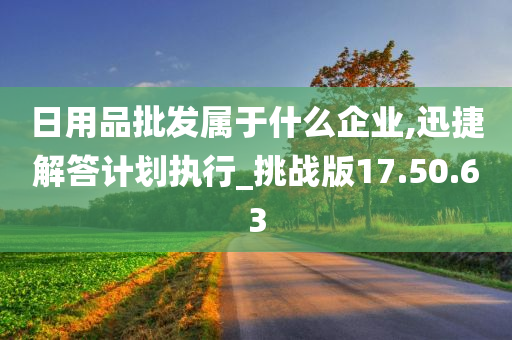 日用品批发属于什么企业,迅捷解答计划执行_挑战版17.50.63