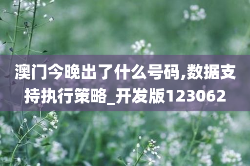 澳门今晚出了什么号码,数据支持执行策略_开发版123062