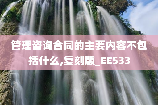 管理咨询合同的主要内容不包括什么,复刻版_EE533