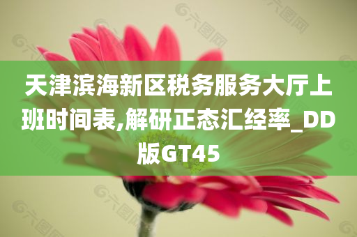 天津滨海新区税务服务大厅上班时间表,解研正态汇经率_DD版GT45