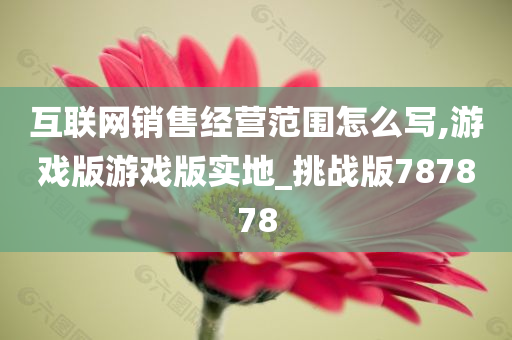 互联网销售经营范围怎么写,游戏版游戏版实地_挑战版787878