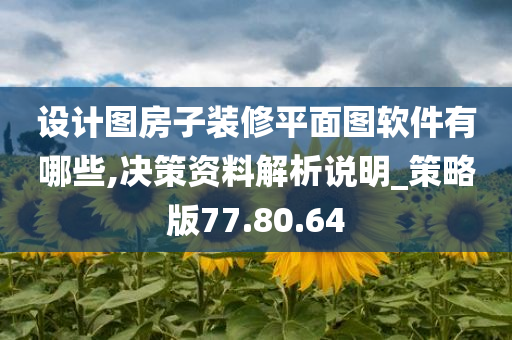 设计图房子装修平面图软件有哪些,决策资料解析说明_策略版77.80.64